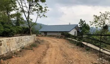 平博·pinnacle(中国)体育官方网站